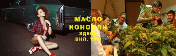 гидра Абаза
