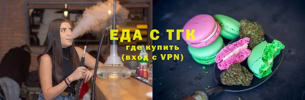 гидра Абаза