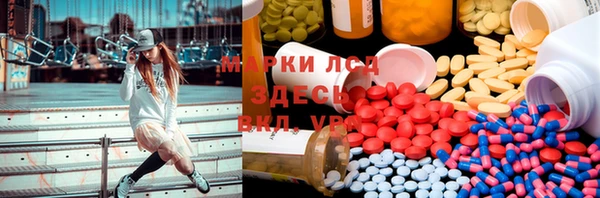 гидра Абаза
