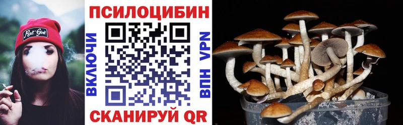 наркошоп  Урус-Мартан  ссылка на мегу зеркало  Псилоцибиновые грибы прущие грибы 